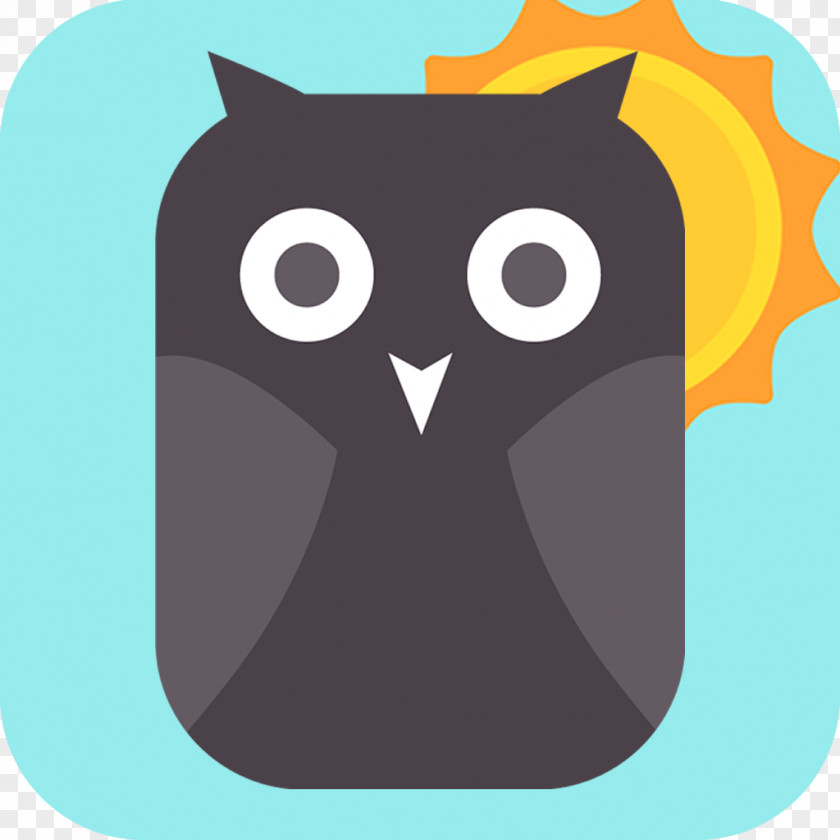 Owl Free Button Beak Bird Clip Art PNG
