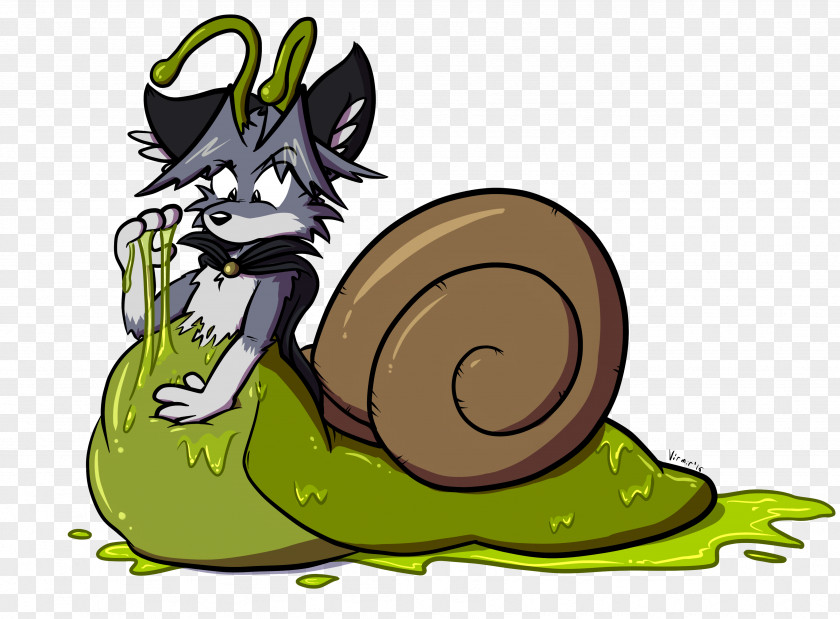 Snails Snail Slime Gastropods Slug Cat PNG