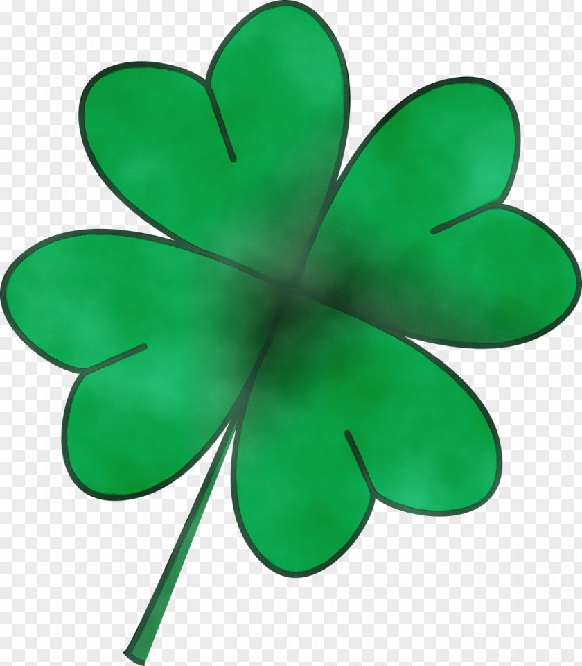 Wood Sorrel Family Plant Saint Patricks Day PNG