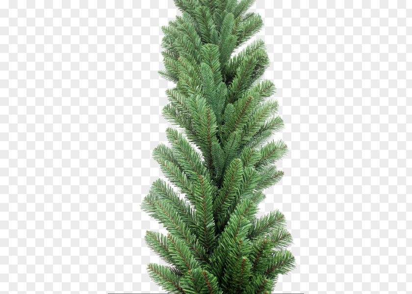 Christmas Spruce Tree Garland PNG