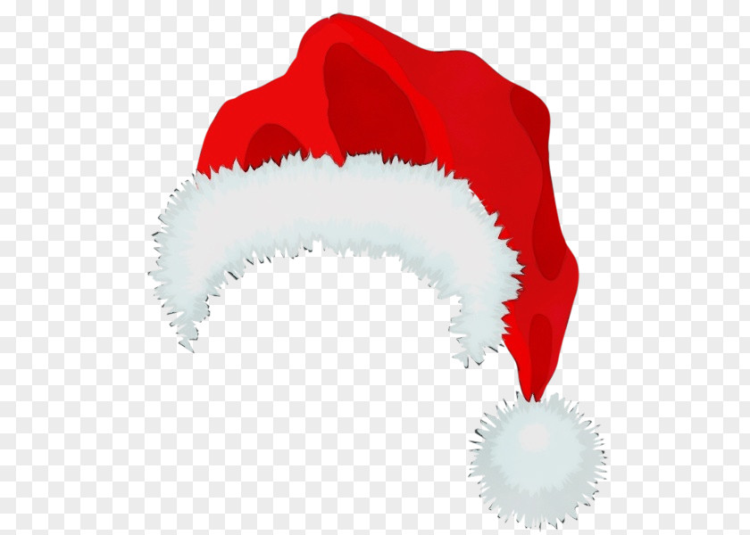 Costume Accessory Christmas Day Santa Claus PNG