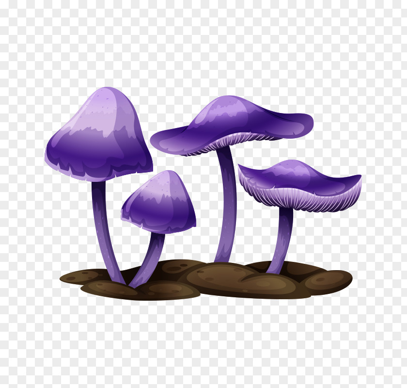 Mushroom,fungus Edible Mushroom Drawing Illustration PNG