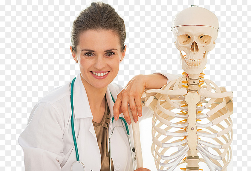 Skeleton Human Bone Density Joint PNG