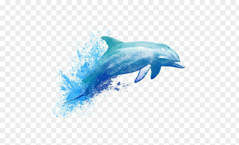 Watercolor Dolphin Painting Drawing Tattoo PNG