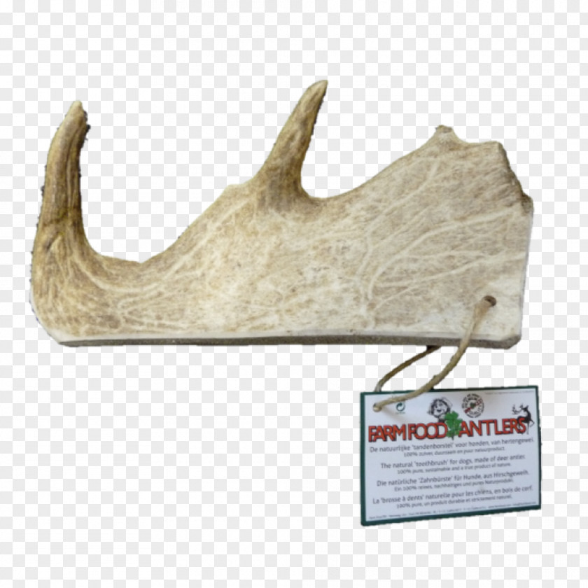 Antler Horn Wood Food /m/083vt PNG