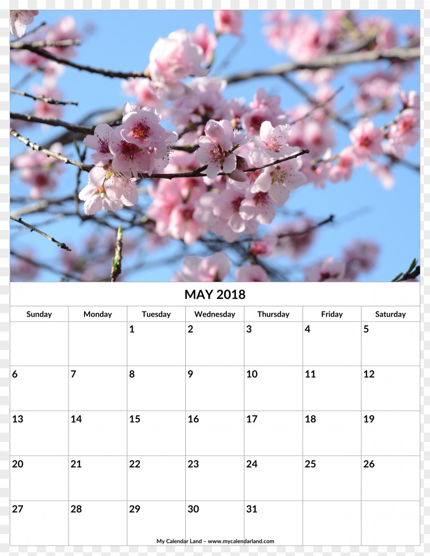 Calendar May 2018 Flower 术数 Zi Wei Dou Shu Artropatia Emofilica 慧真館 PNG