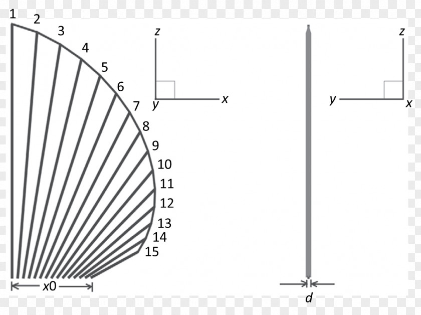 Fish Geometry Fin Locomotion Batoidea PNG