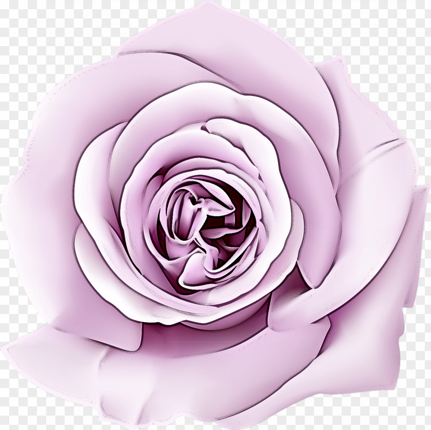 Garden Roses PNG