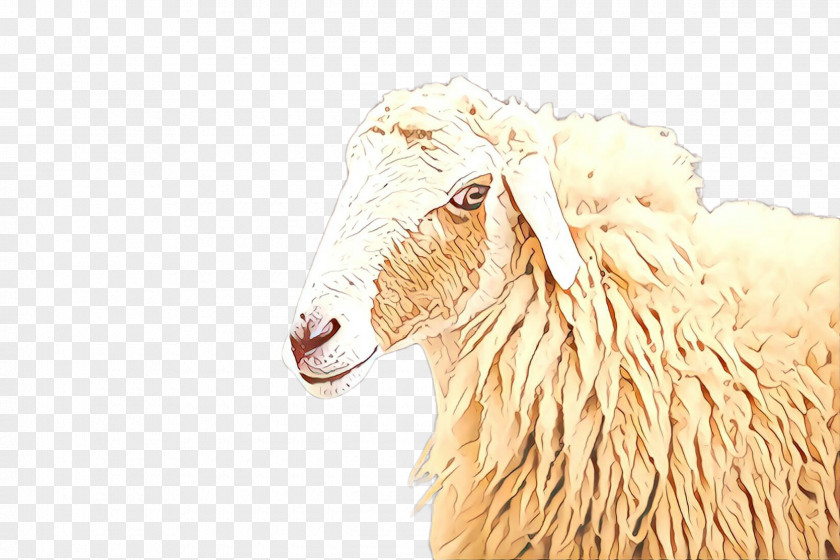 Livestock Goats Cartoon Sheep PNG