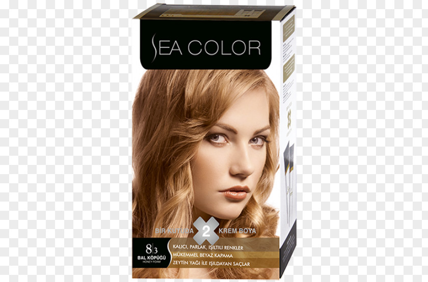 Paint Color Capelli Brand PNG