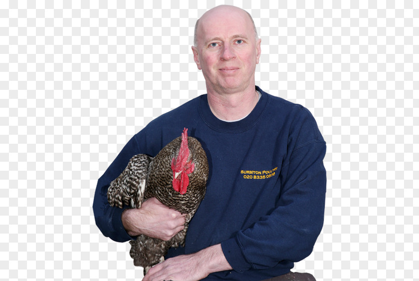 T-shirt Surbiton Poultry Sweater Neckline Jacket PNG