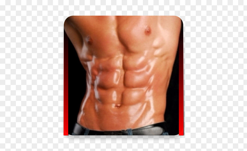 Bodybuilding Exercise Book Microsoft Physical Fitness PNG