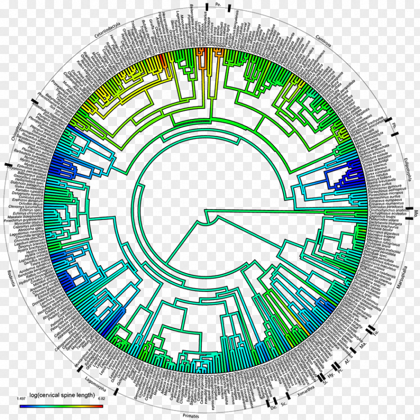 Circle Sports Venue Point Wheel PNG