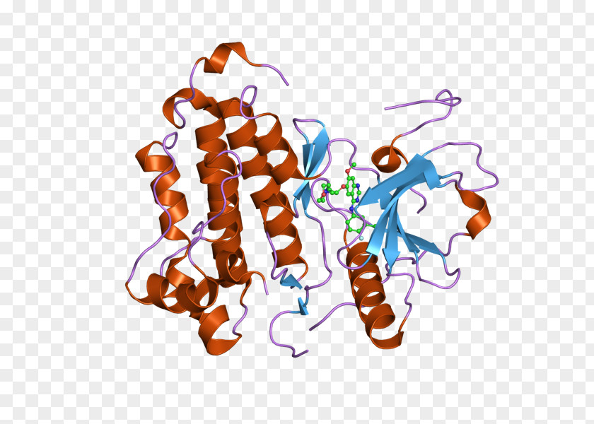 Epidermal Growth Factor Receptor Tyrosine Kinase PNG