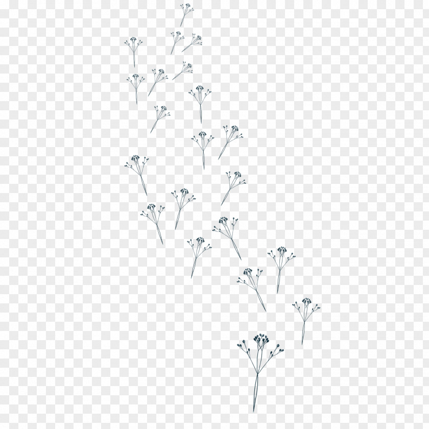 Floating Dandelion White Black Angle Pattern PNG