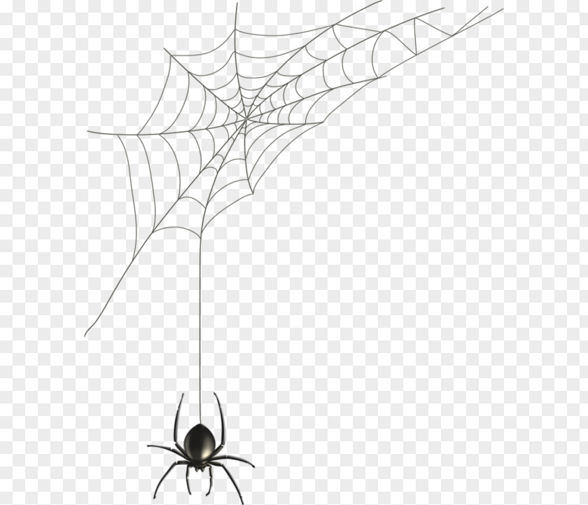 Hand-painted Spider Web Black House Illustration PNG