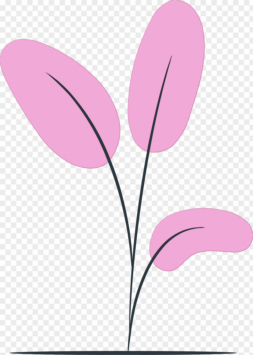 Plant Stem Petal Leaf Pink M Flower PNG