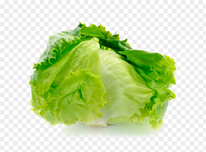 Salad Iceberg Lettuce Vegetable Fruit Cultivar PNG