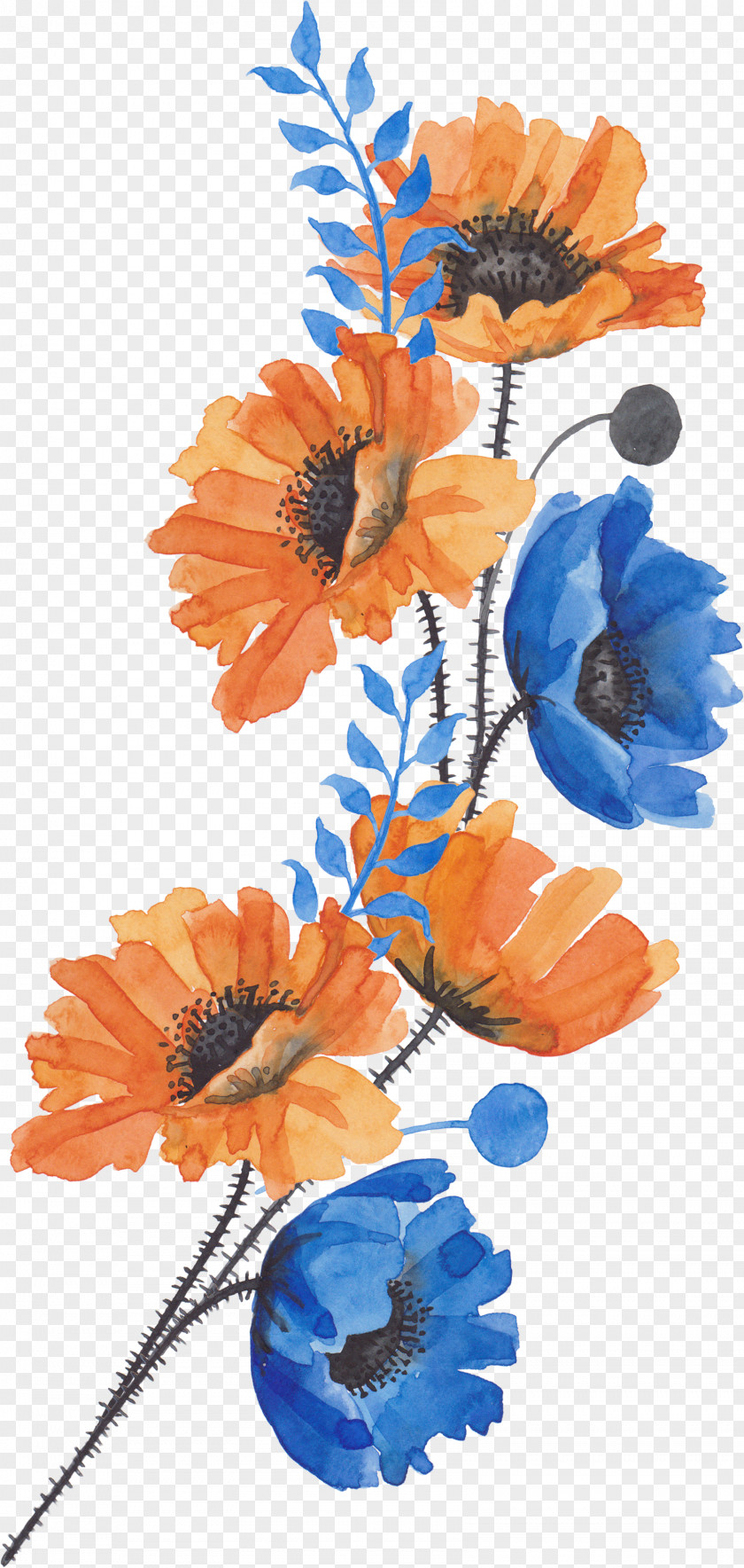 A Bouquet Of Flowers Common Poppy Flower PNG