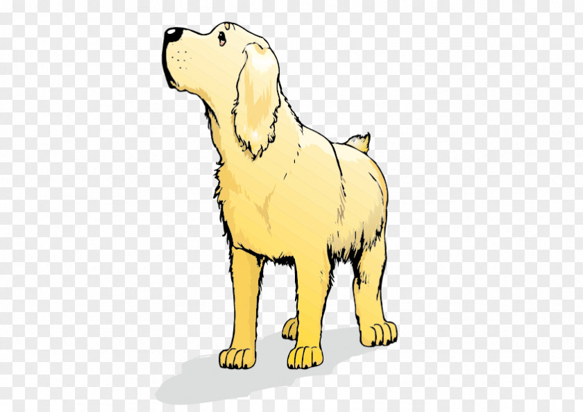 Cartoon Golden Retriever Labrador Goldendoodle Labradoodle Italian Greyhound PNG