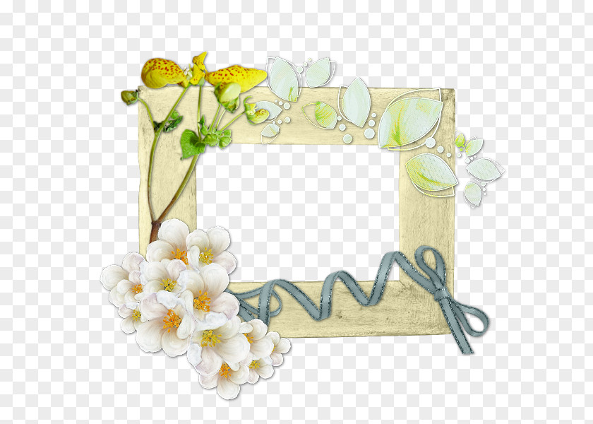 Design Floral Cut Flowers Picture Frames PNG