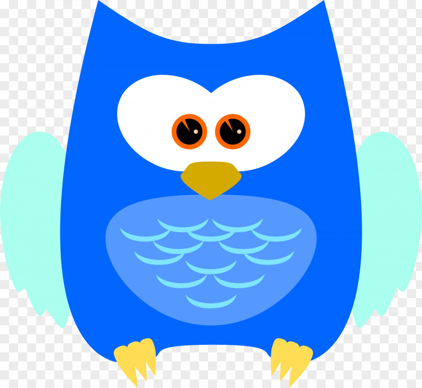 Owl Bird Beak Feather PNG