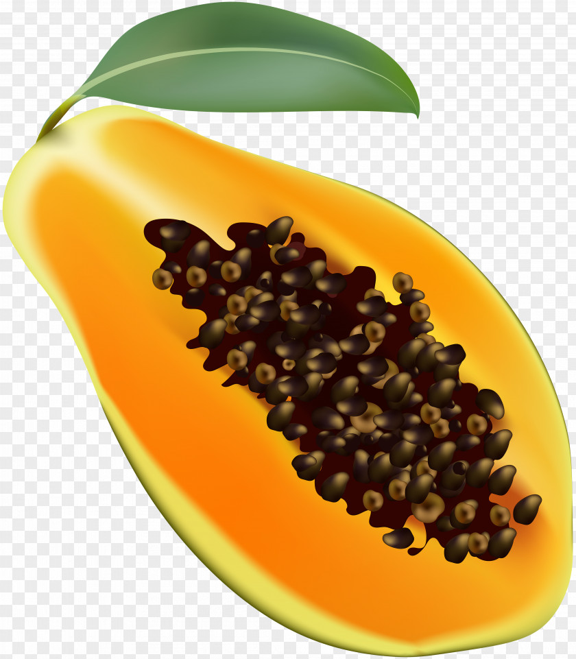 Papaya Clip Art PNG