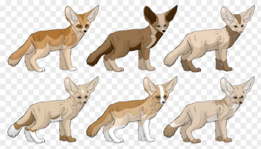 Dog Red Fox Jackal Breed PNG