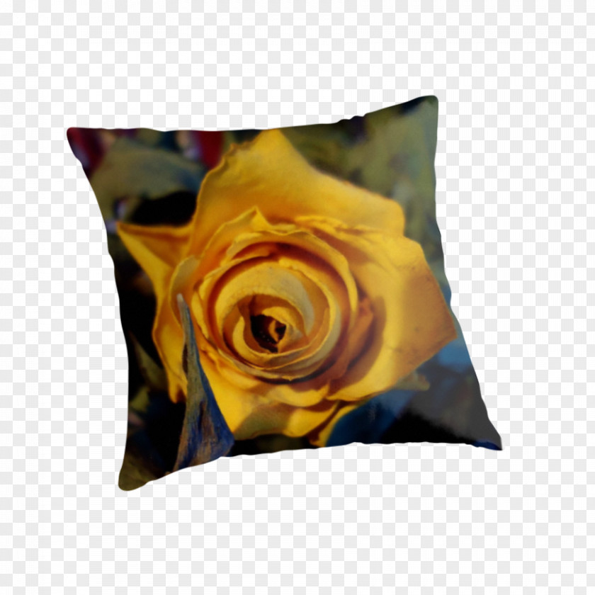 Dried Rose Throw Pillows Cushion PNG