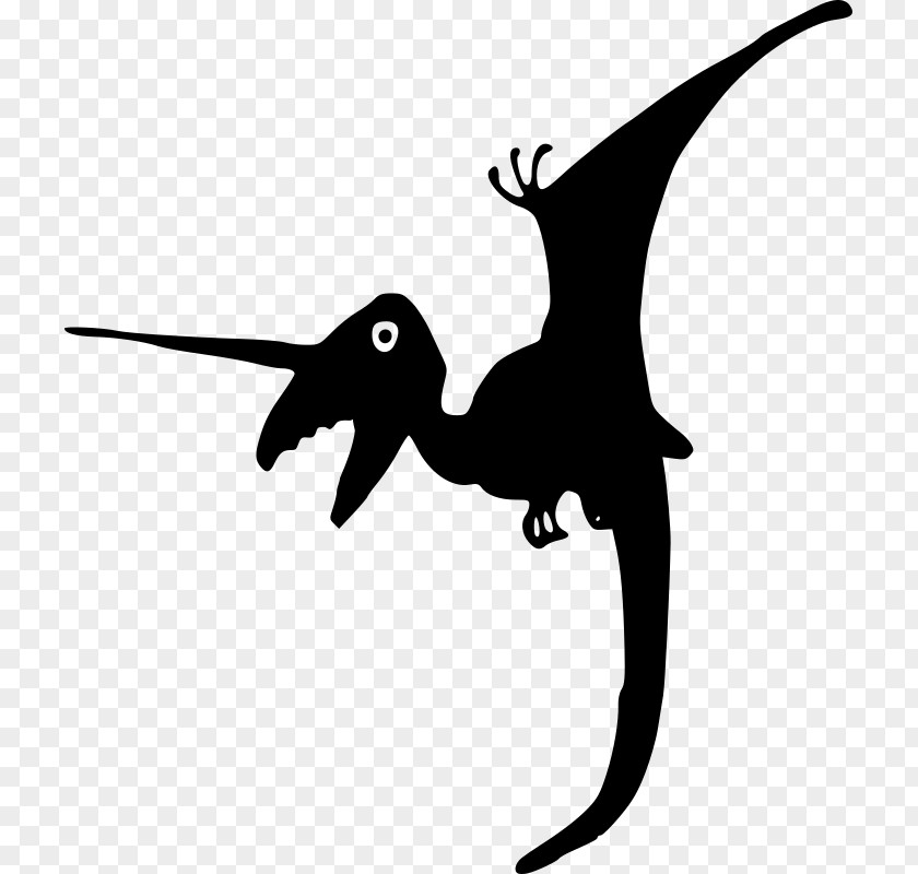 Flying Dinosaur Ceratopsia Pterosaurs Pterodactyls PNG