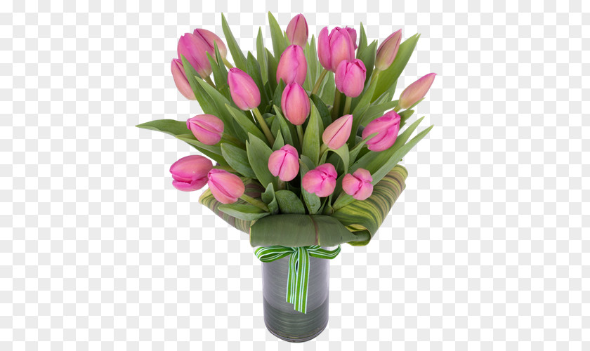 Tulip Flowerpot Flower Bouquet Vase Cut Flowers PNG