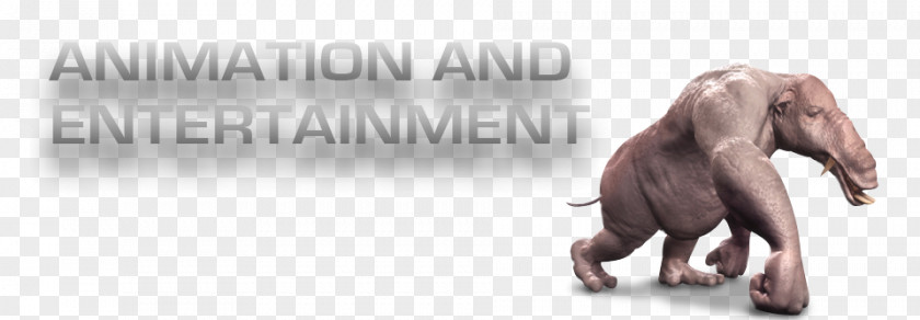 Animation Indian Elephant Computer 3D Modeling Graphics PNG