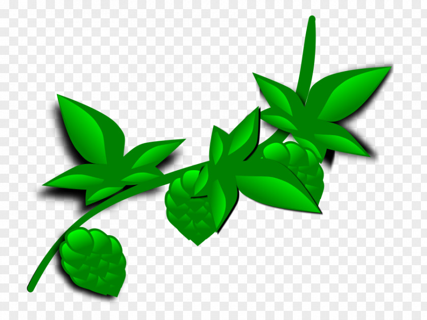 Cartoon Holly Leaf Plant Clip Art PNG