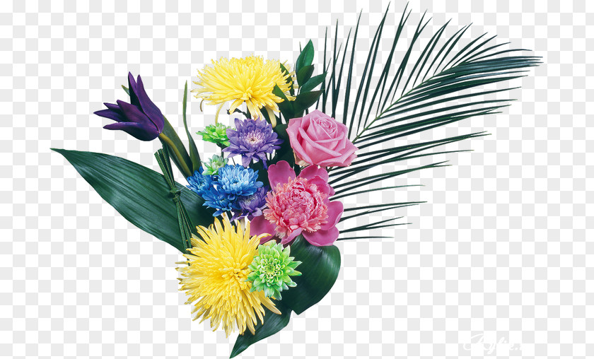 Chrysanthemum Desktop Wallpaper Flower Mobile Phones Tulip PNG