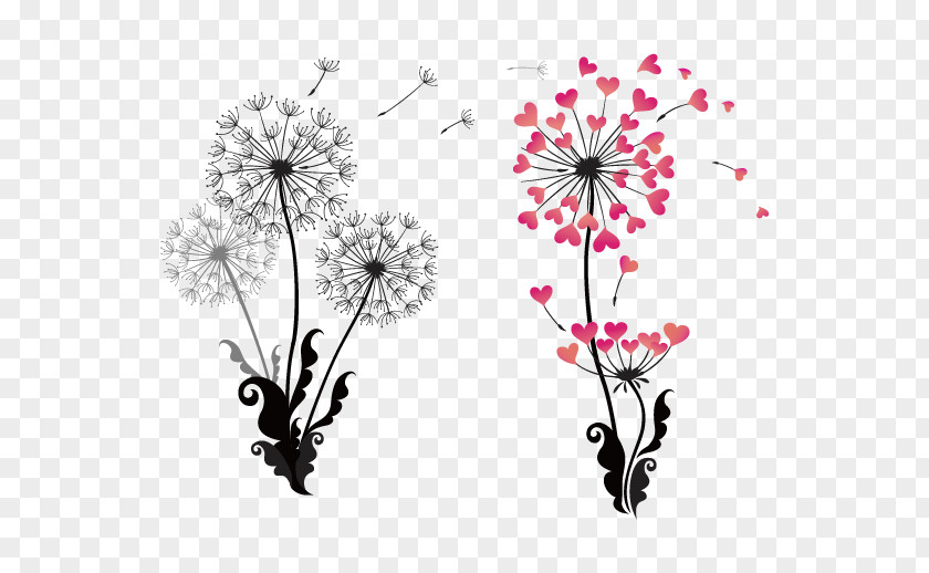 Dandelion Vector Drawing Stock Photography Clip Art PNG