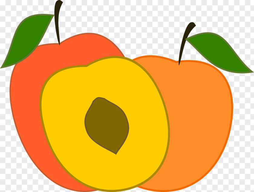 Fruit Food Peach Clip Art PNG