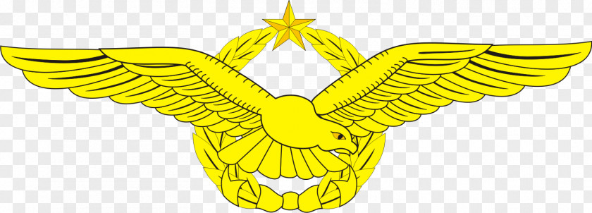 Military Indonesian Air Force National Armed Forces Emblem Of Indonesia PNG