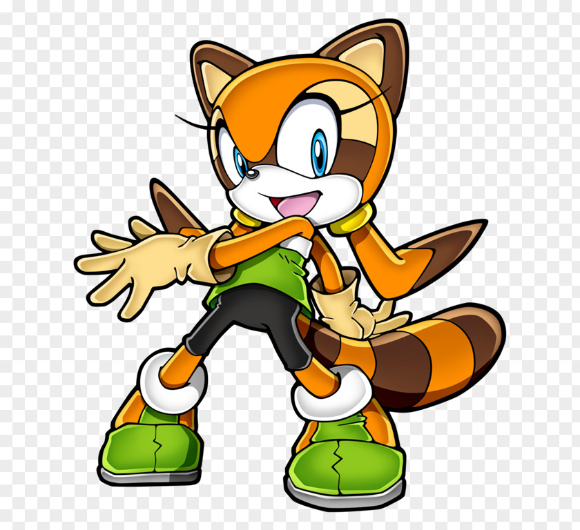 Racoon Pic Sonic Rush Adventure The Hedgehog Tails Raccoon Cream Rabbit PNG