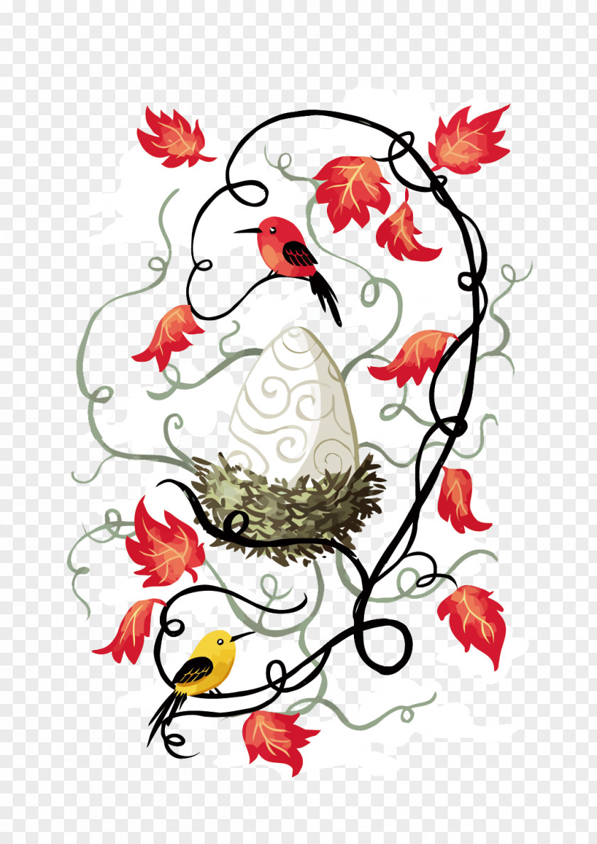 Vector Birds And Eggs Bird Drawing Painting Illustration PNG