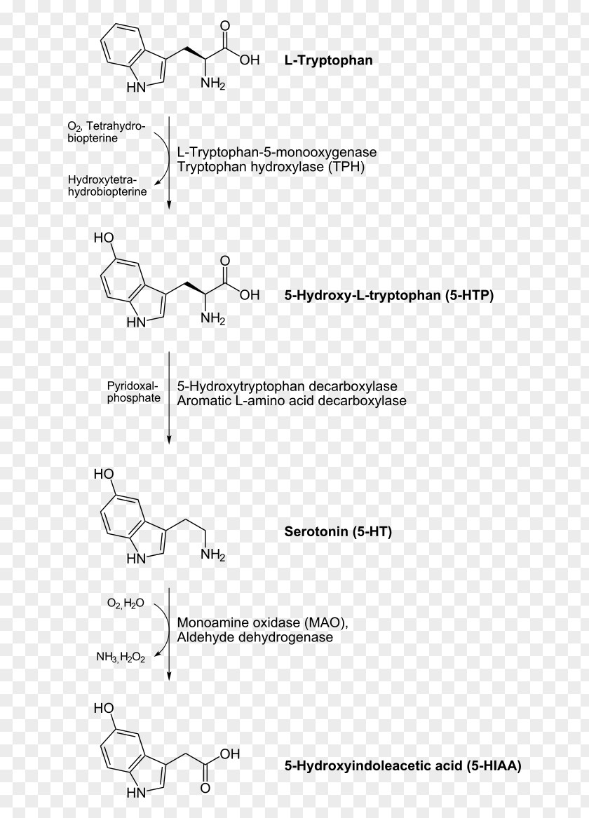 Aromatic L-amino Acid Decarboxylase Inhibitor Levodopa Decarboxylation Carboxy-lyases PNG