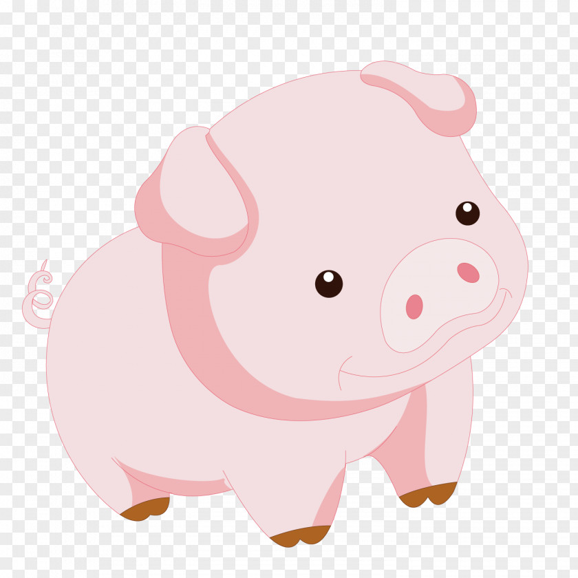 Daze Of Piggy Domestic Pig Clip Art PNG