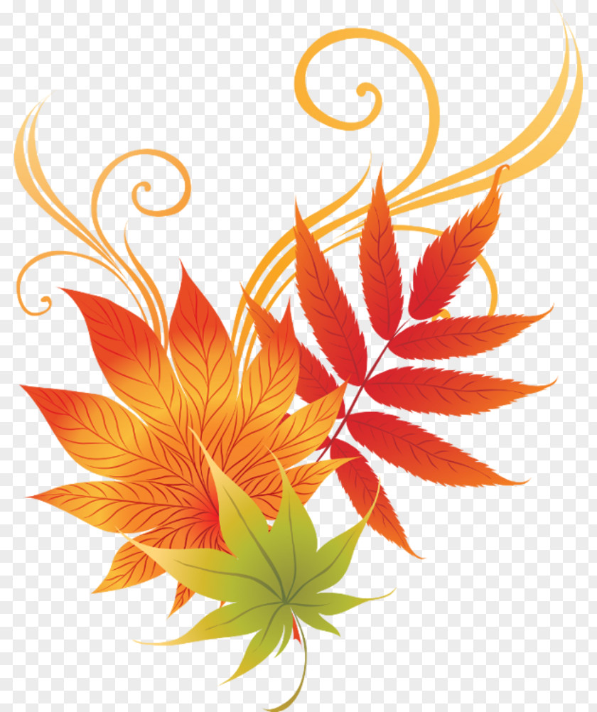Decal Leaf Autumn PNG