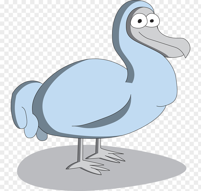 Duck Flightless Bird Crane Seabird PNG