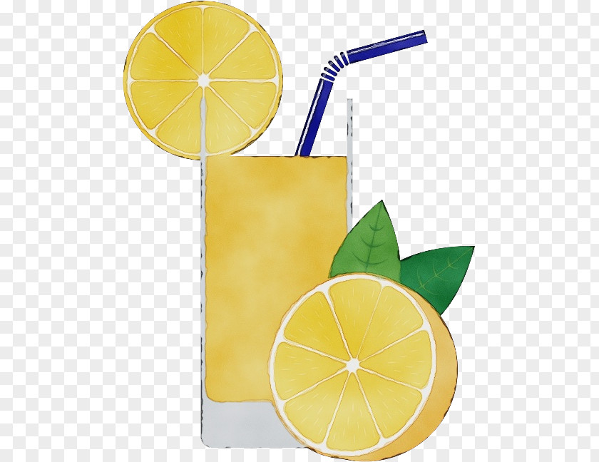 Lemon Citric Acid Yellow Lime PNG