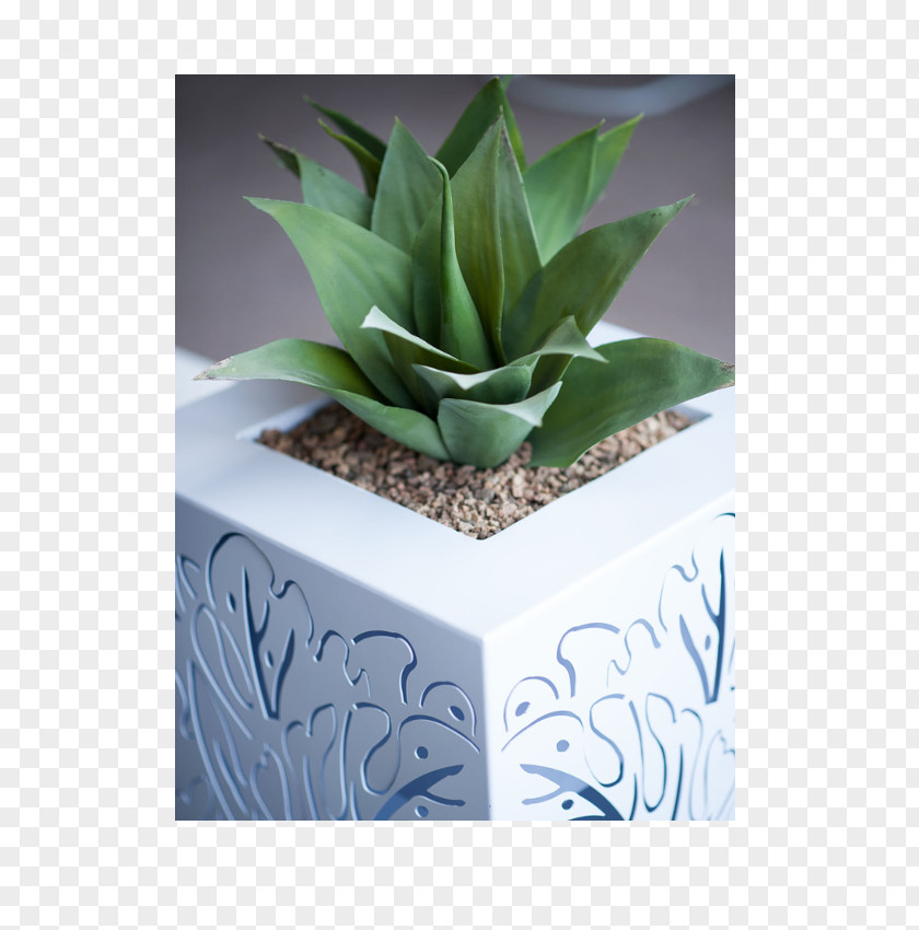 Monstera Flowerpot Plant Steel Office Interior Design Services PNG