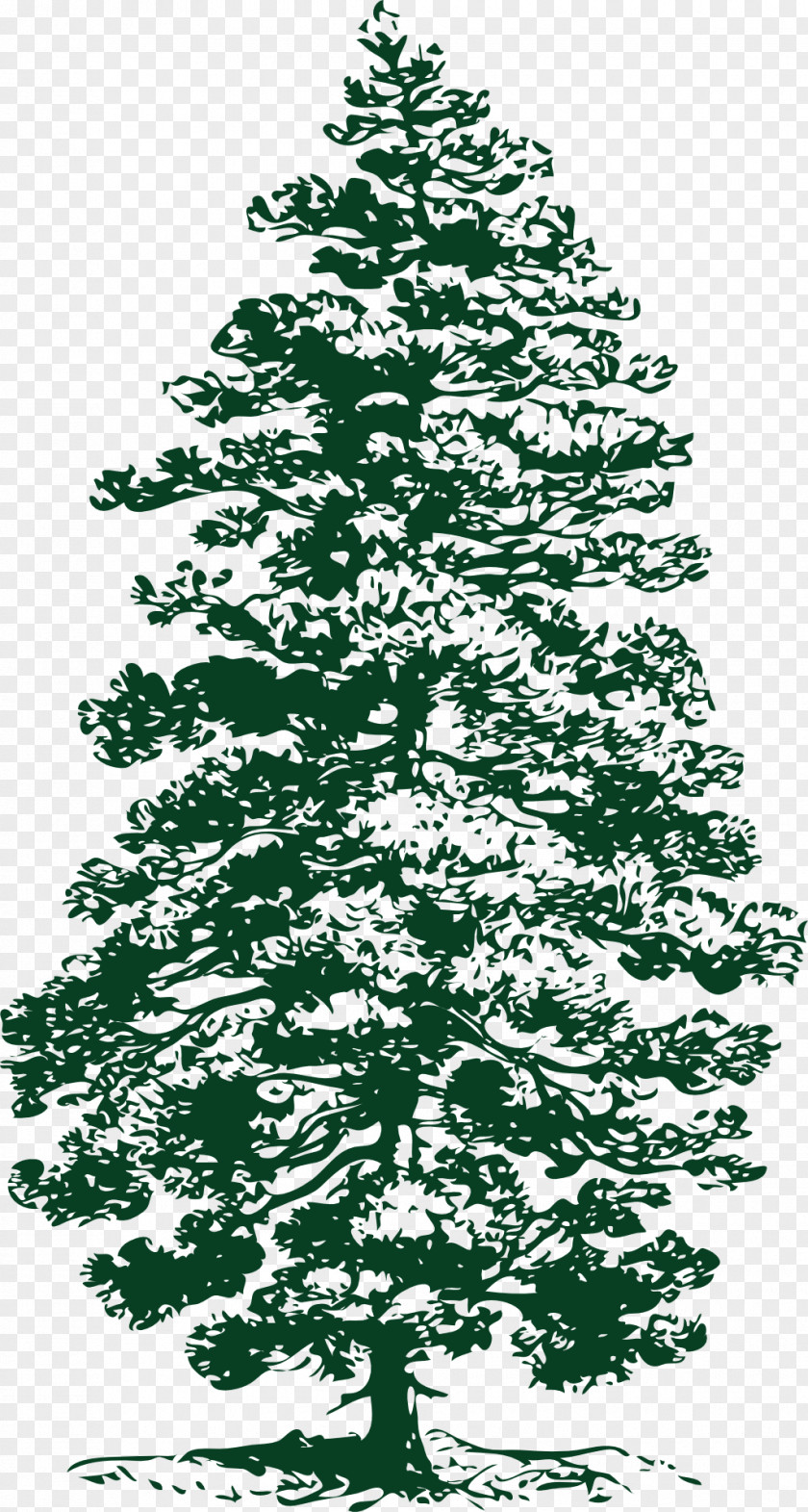 Pine Eastern White Tree Clip Art PNG