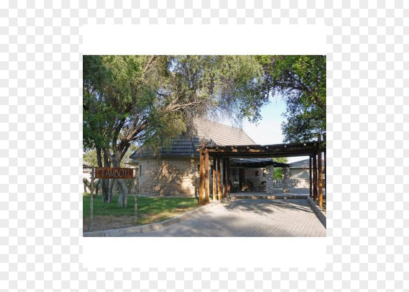 Tree Property Shed Landscape Roof PNG