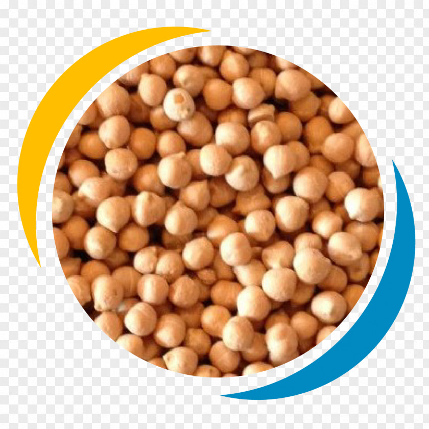 CHICK PEAS Hazelnut Commodity Superfood Ingredient Bean PNG