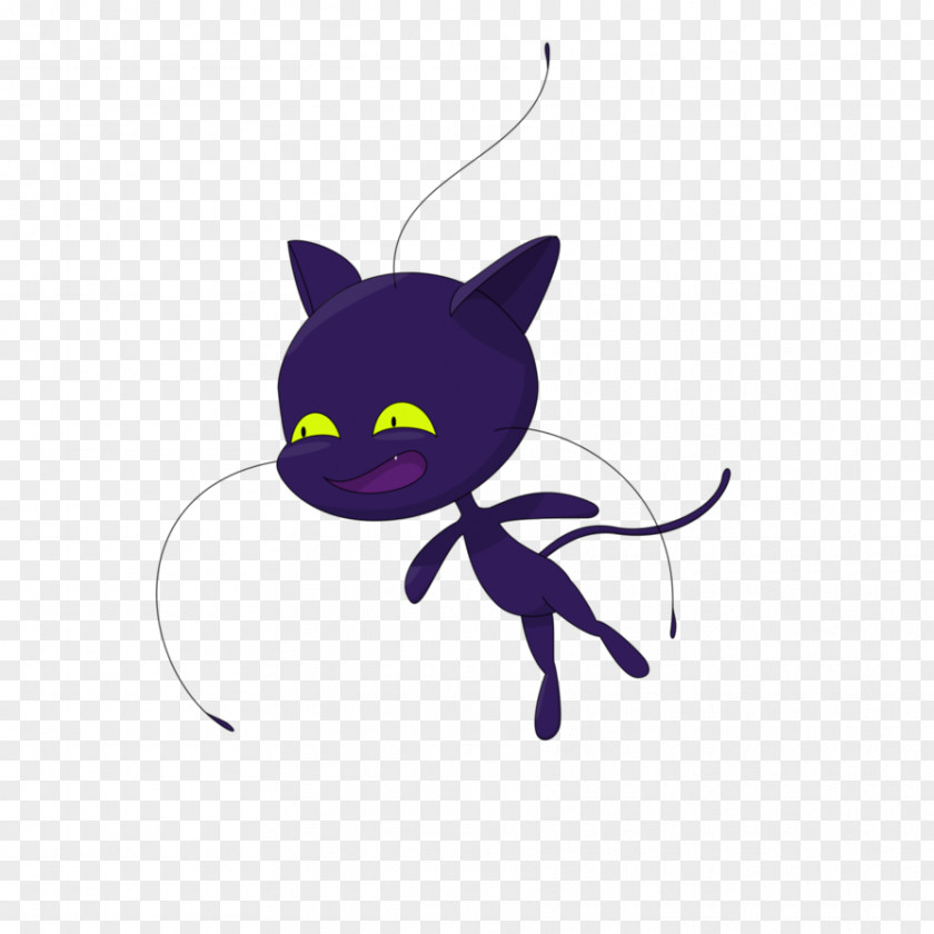 Kitten Whiskers Black Cat Insect PNG