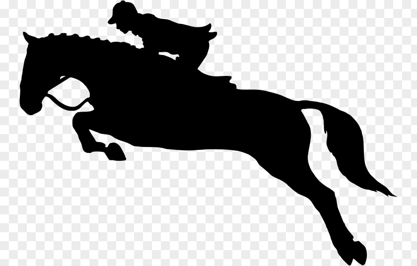 Leaping Horse Show Jumping Equestrian Clip Art PNG
